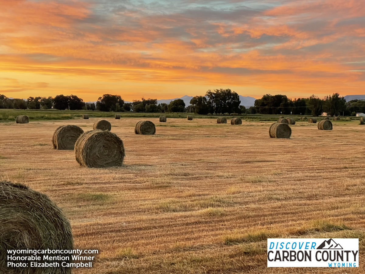 Honorable Mention: “Harvest time” by Elizabeth Campbell.