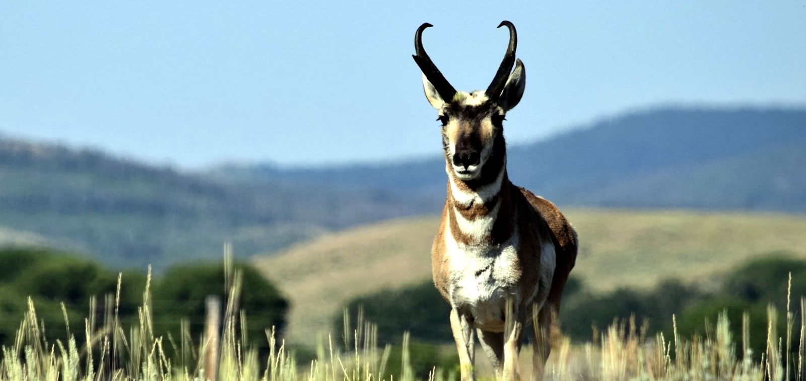 Discover Carbon County, Wyoming Seminoe State Park