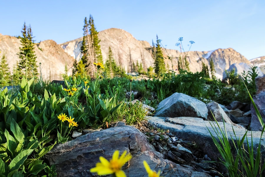 Spring & Summer in Carbon County, Wyoming